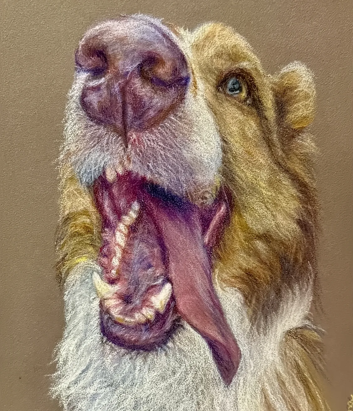 Pet portrait commission